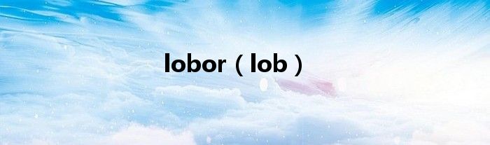 lobor（lob）