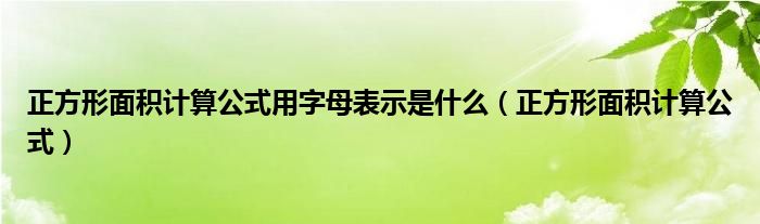 正方形面积计算公式用字母表示是什么（正方形面积计算公式）