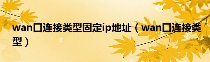 wan口连接类型固定ip地址（wan口连接类型）