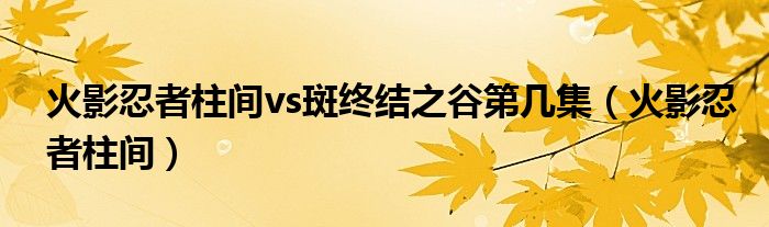 火影忍者柱间vs斑终结之谷第几集（火影忍者柱间）