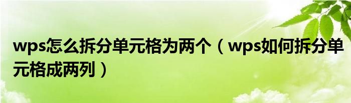 wps怎么拆分单元格为两个（wps如何拆分单元格成两列）