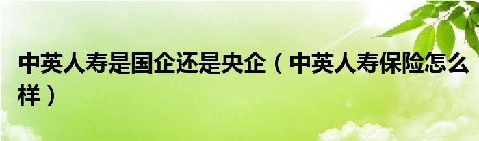 中英人寿是国企还是央企（中英人寿保险怎么样）