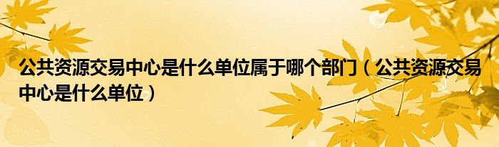 公共资源交易中心是什么单位属于哪个部门（公共资源交易中心是什么单位）