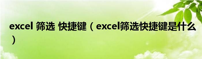 excel 筛选 快捷键（excel筛选快捷键是什么）