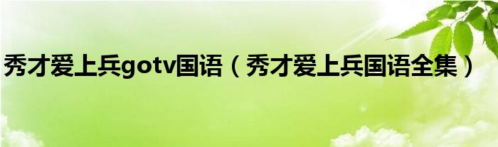 秀才爱上兵gotv国语（秀才爱上兵国语全集）