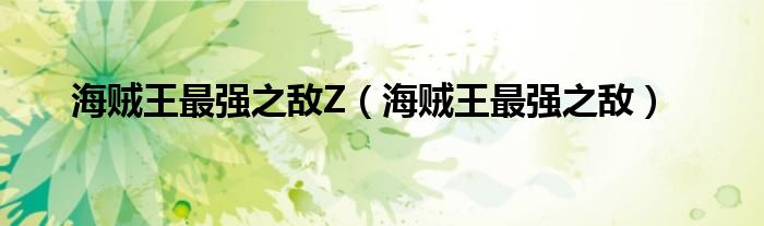 海贼王最强之敌Z（海贼王最强之敌）