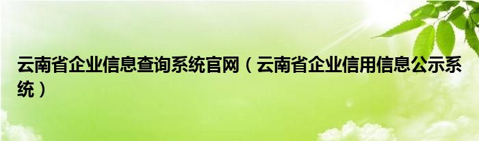 云南省企业信息查询系统官网（云南省企业信用信息公示系统）