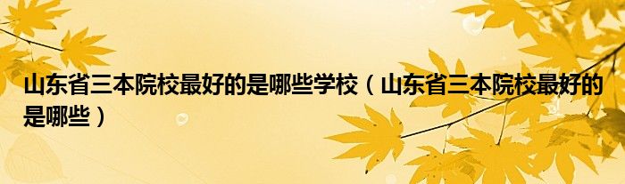 山东省三本院校最好的是哪些学校（山东省三本院校最好的是哪些）