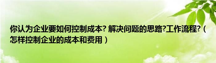 你认为企业要如何控制成本? 解决问题的思路?工作流程?（怎样控制企业的成本和费用）