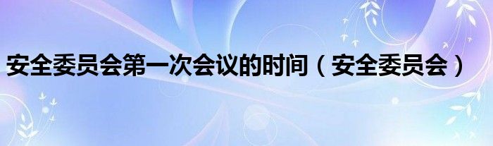 安全委员会第一次会议的时间（安全委员会）