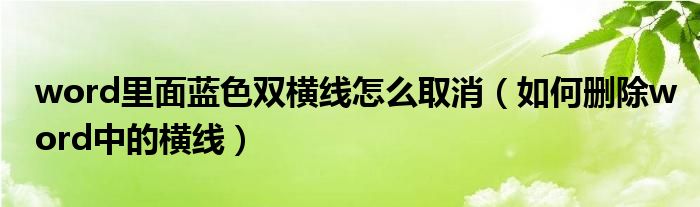 word里面蓝色双横线怎么取消（如何删除word中的横线）