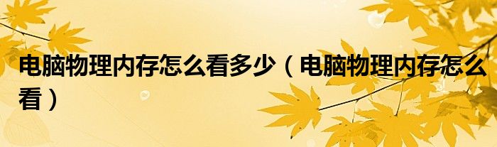 电脑物理内存怎么看多少（电脑物理内存怎么看）