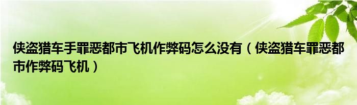 侠盗猎车手罪恶都市飞机作弊码怎么没有（侠盗猎车罪恶都市作弊码飞机）