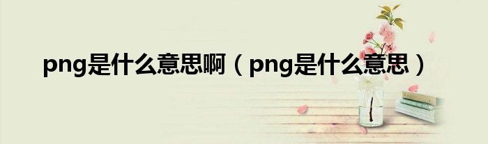 png是什么意思啊（png是什么意思）