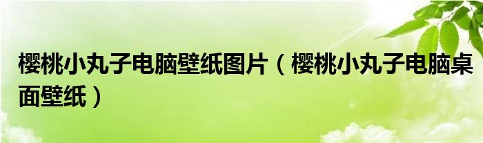 樱桃小丸子电脑壁纸图片（樱桃小丸子电脑桌面壁纸）