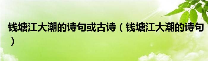 钱塘江大潮的诗句或古诗（钱塘江大潮的诗句）