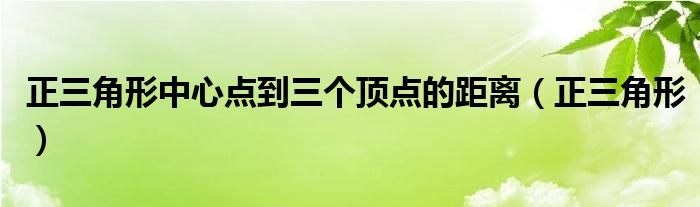 正三角形中心点到三个顶点的距离（正三角形）