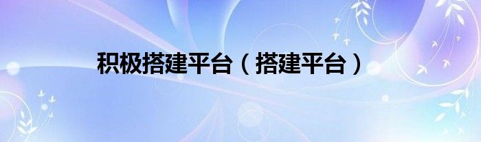 积极搭建平台（搭建平台）