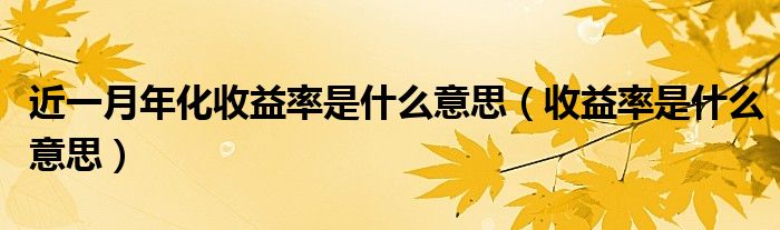 近一月年化收益率是什么意思（收益率是什么意思）