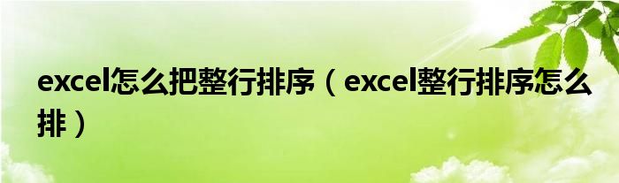 excel怎么把整行排序（excel整行排序怎么排）