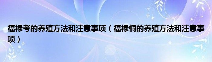 福禄考的养殖方法和注意事项（福禄桐的养殖方法和注意事项）