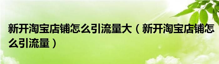 新开淘宝店铺怎么引流量大（新开淘宝店铺怎么引流量）