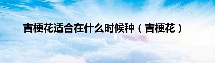 吉梗花适合在什么时候种（吉梗花）