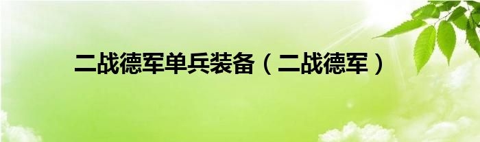 二战德军单兵装备（二战德军）