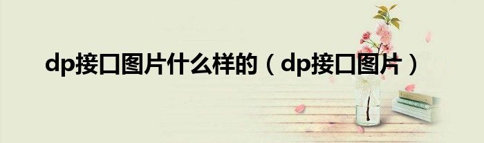 dp接口图片什么样的（dp接口图片）