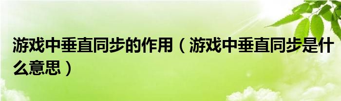 游戏中垂直同步的作用（游戏中垂直同步是什么意思）