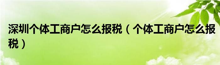 深圳个体工商户怎么报税（个体工商户怎么报税）