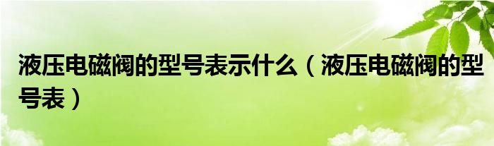 液压电磁阀的型号表示什么（液压电磁阀的型号表）