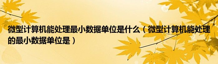 微型计算机能处理最小数据单位是什么（微型计算机能处理的最小数据单位是）