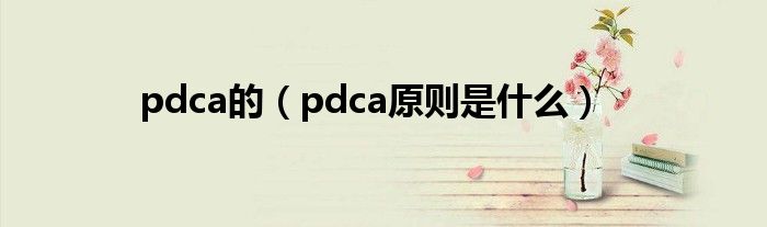 pdca的（pdca原则是什么）