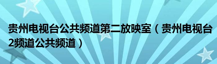 贵州电视台公共频道第二放映室（贵州电视台2频道公共频道）