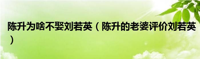 陈升为啥不娶刘若英（陈升的老婆评价刘若英）