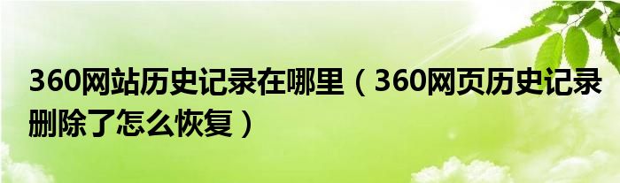 360网站历史记录在哪里（360网页历史记录删除了怎么恢复）