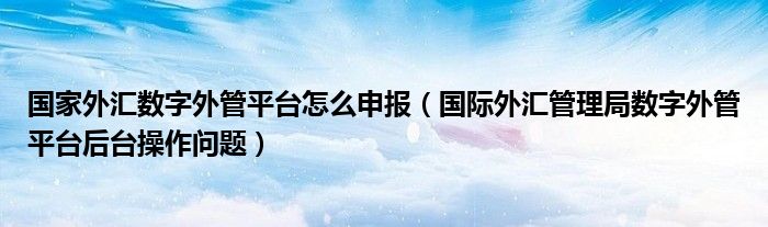 国家外汇数字外管平台怎么申报（国际外汇管理局数字外管平台后台操作问题）