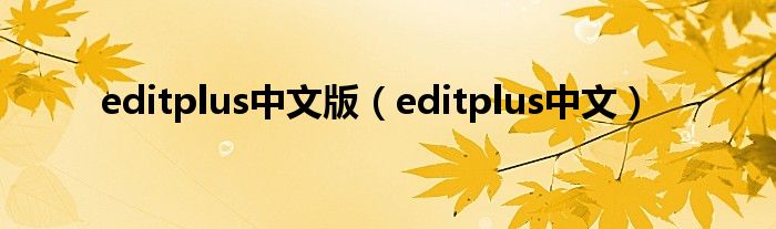 editplus中文版（editplus中文）