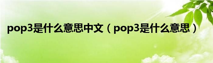 pop3是什么意思中文（pop3是什么意思）