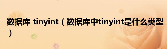 数据库 tinyint（数据库中tinyint是什么类型）