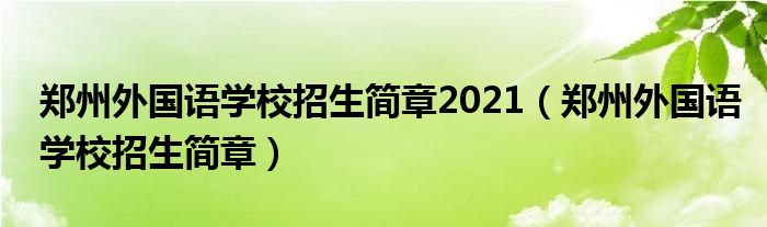 郑州外国语学校招生简章2021（郑州外国语学校招生简章）