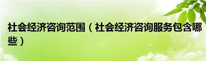 社会经济咨询范围（社会经济咨询服务包含哪些）