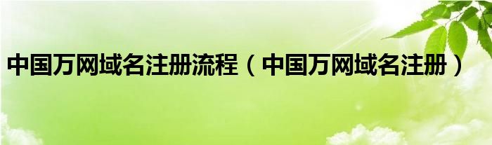 中国万网域名注册流程（中国万网域名注册）