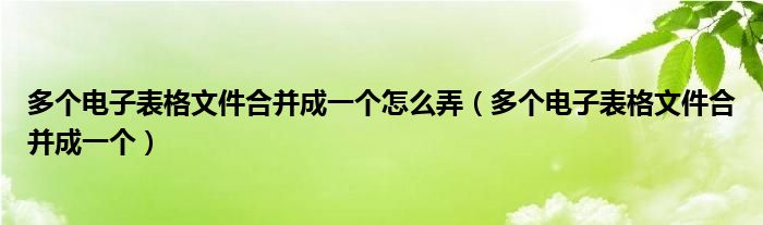 多个电子表格文件合并成一个怎么弄（多个电子表格文件合并成一个）