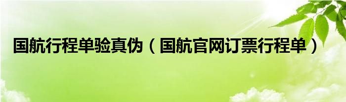 国航行程单验真伪（国航官网订票行程单）