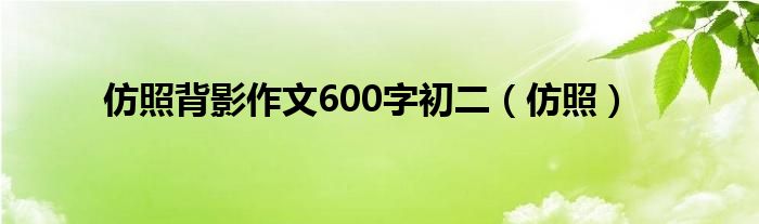 仿照背影作文600字初二（仿照）