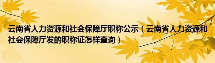 云南省人力资源和社会保障厅职称公示（云南省人力资源和社会保障厅发的职称证怎样查询）