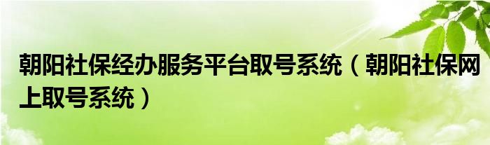 朝阳社保经办服务平台取号系统（朝阳社保网上取号系统）