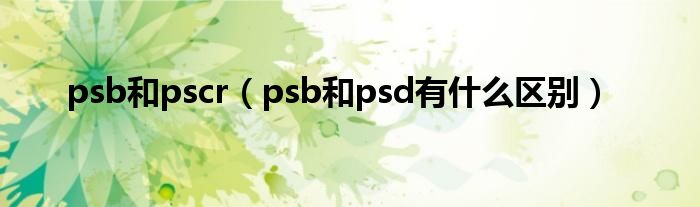 psb和pscr（psb和psd有什么区别）